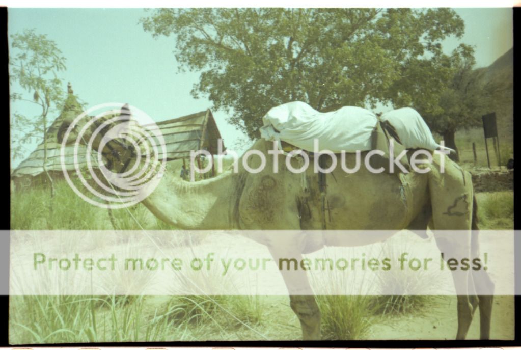 Scan-121113-0104_zpsfa225d9b.jpg
