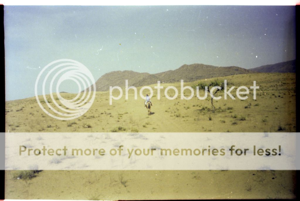 Scan-121114-0002_zps2a008631.jpg
