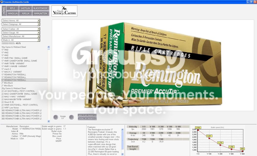 Ammunition Interface