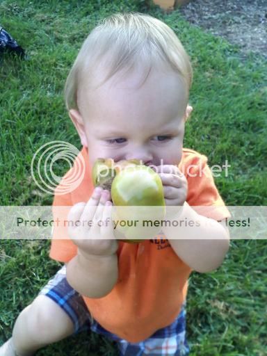  photo downsized_0819031747.jpg