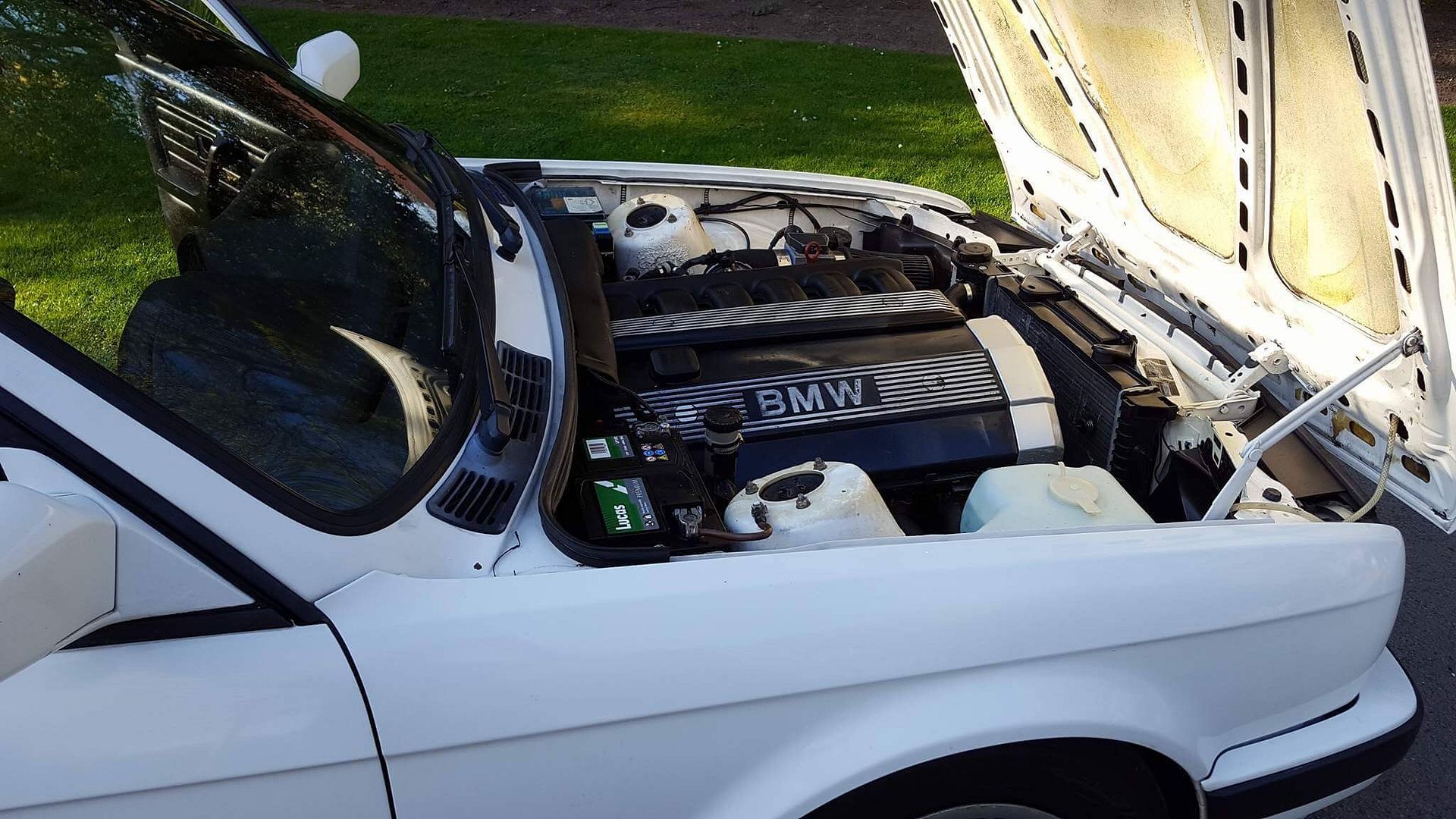 9515749D-597B-4774-A349-B6FE1CB2D4C2_zps