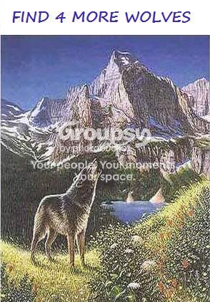 DogNonBack-Find4HiddenWolves-