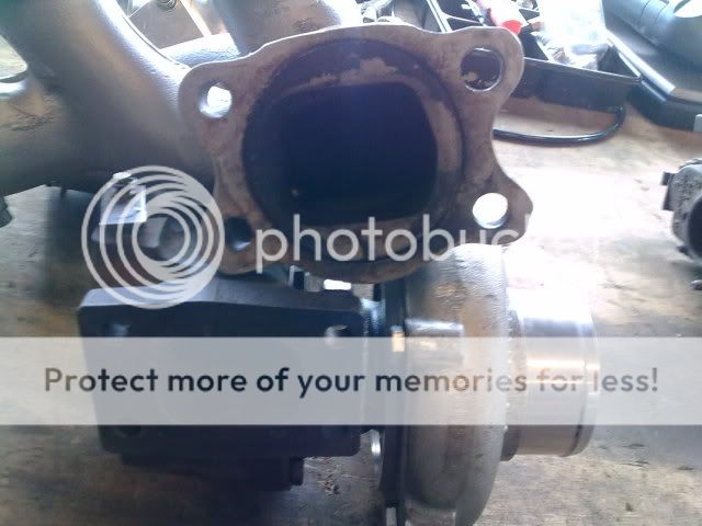 [Afbeelding: 14092009055.jpg]