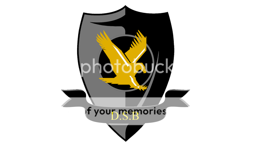 i673.photobucket.com/albums/vv99/TheRavenEvermore/DropshockLogoFlat.png