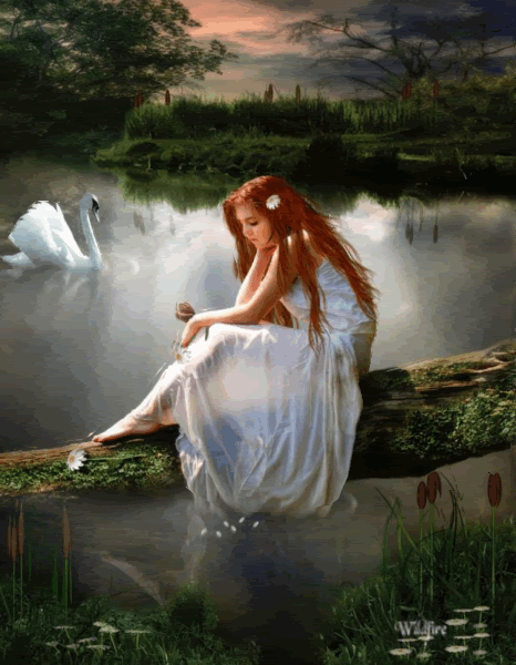 swanlake55.gif