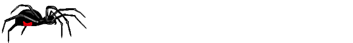 spider2.gif