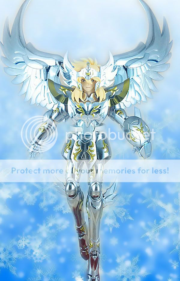 白鸟座神圣衣13pics