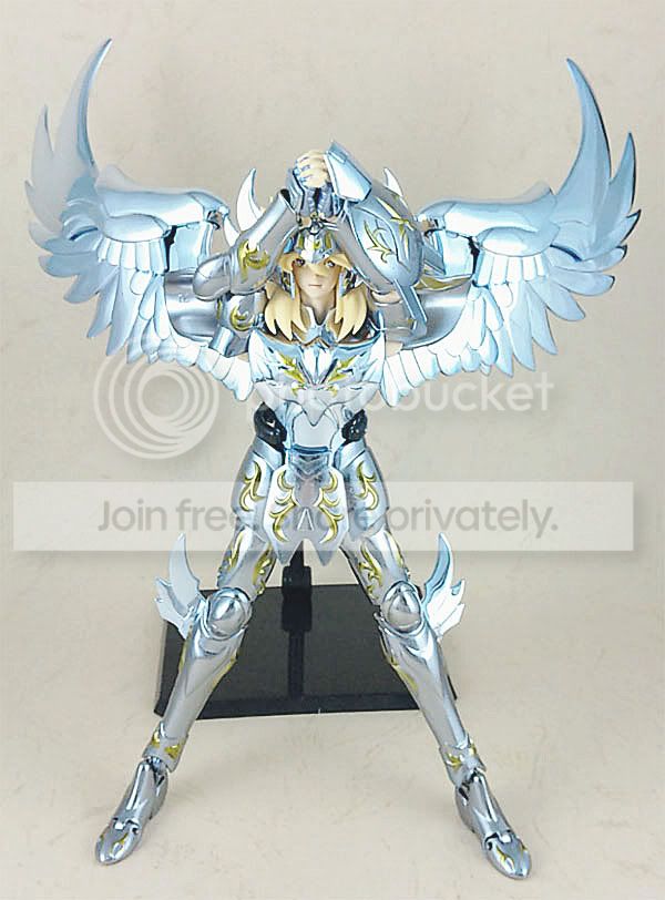 白鸟座神圣衣13pics