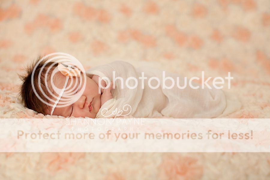  Zora's Newborn Session  |  Hendersonville TN Newborn Photographer