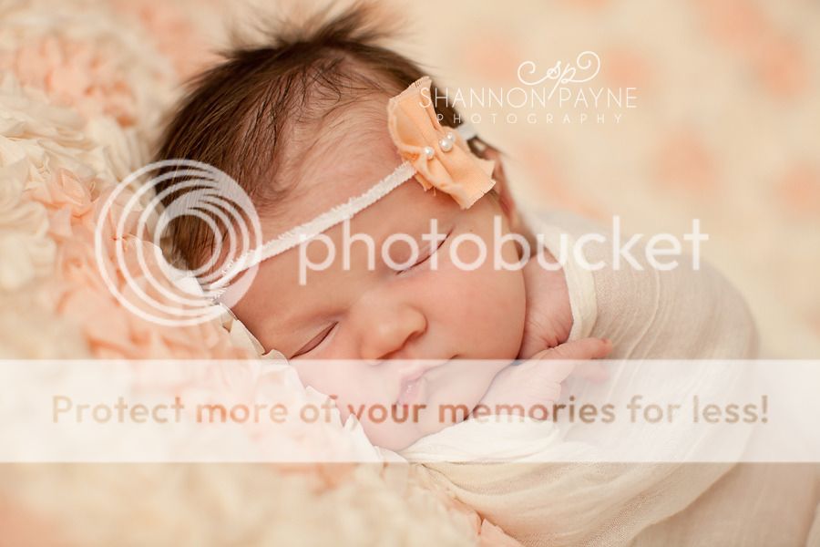  Zora's Newborn Session  |  Hendersonville TN Newborn Photographer