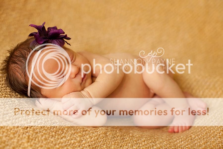  Addalee's Newborn Session  |  Hendersonville TN Newborn Photographer 