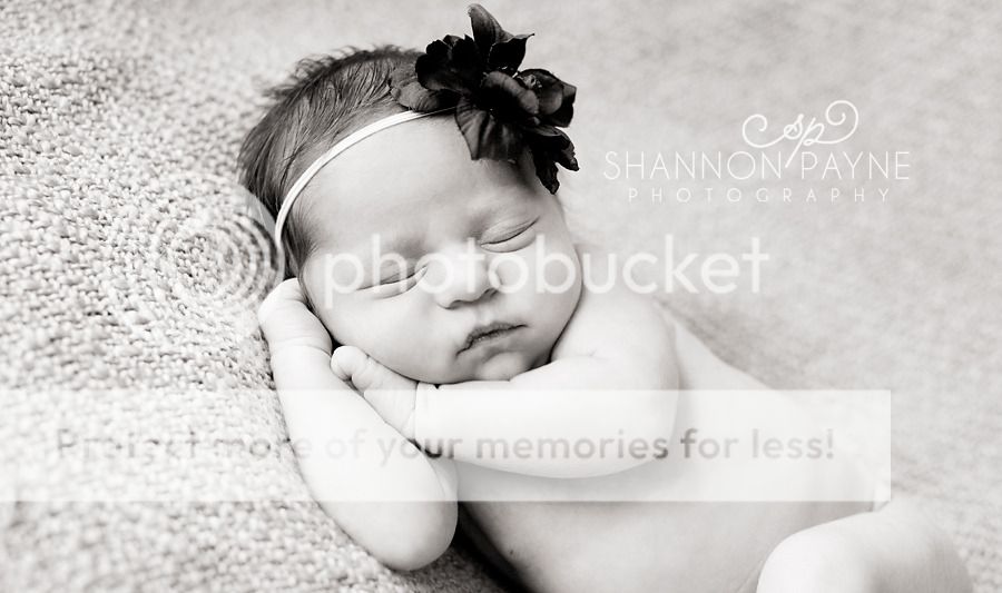  Addalee's Newborn Session  |  Hendersonville TN Newborn Photographer 