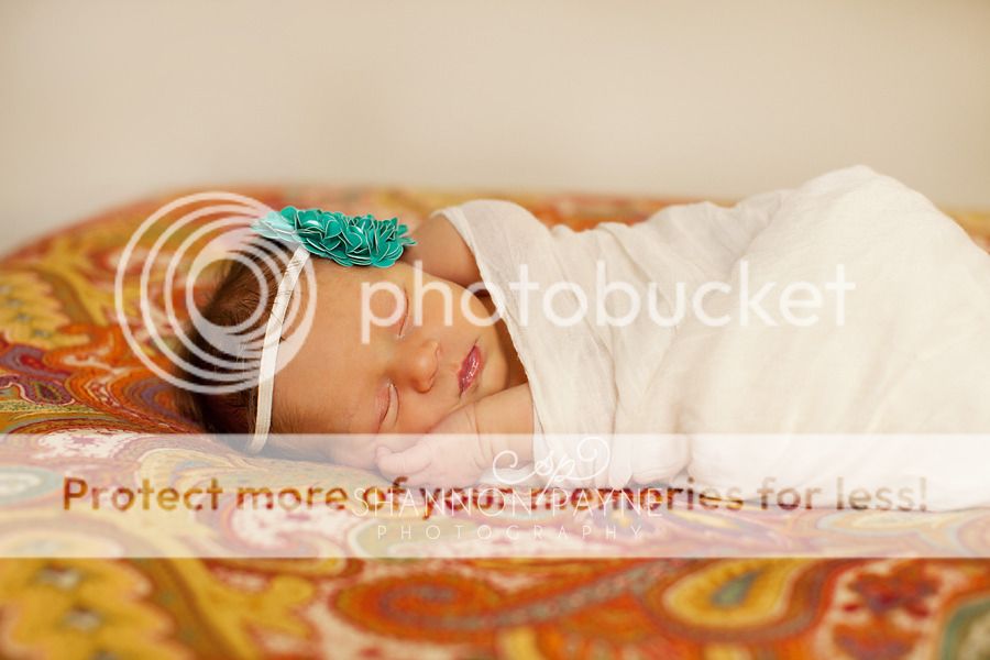  Addalee's Newborn Session  |  Hendersonville TN Newborn Photographer 