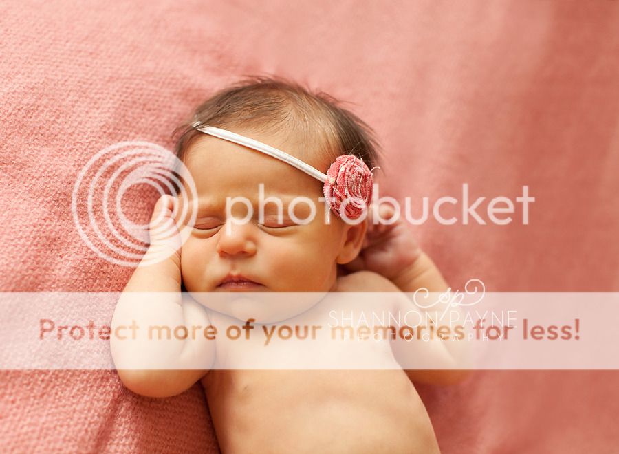  Addalee's Newborn Session  |  Hendersonville TN Newborn Photographer 