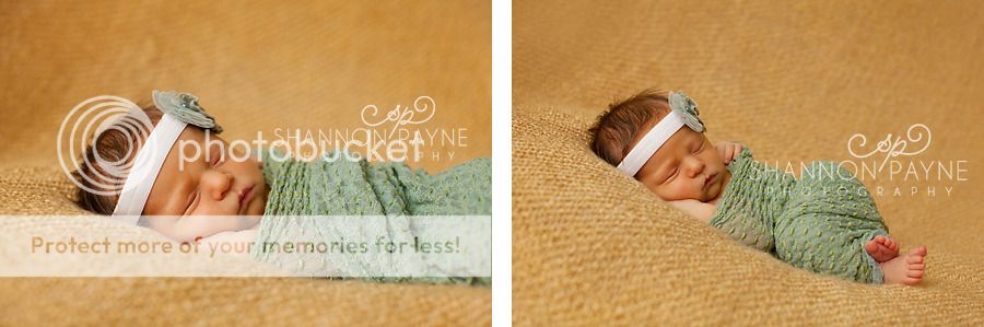  Addalee's Newborn Session  |  Hendersonville TN Newborn Photographer 