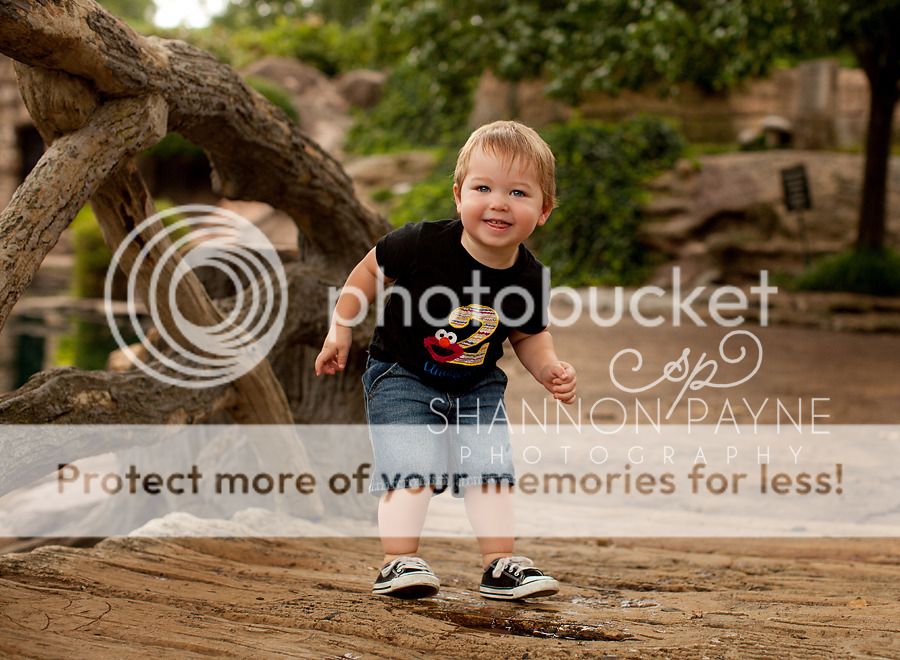 Andrew Turns 2 | Nashville TN Child Photographer