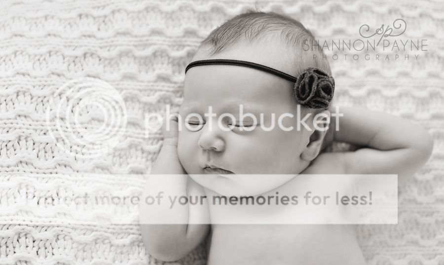  Aubrey's Newborn Session  |  Hendersonville TN Newborn Photographer  |  Nashville TN Newborn Photographer