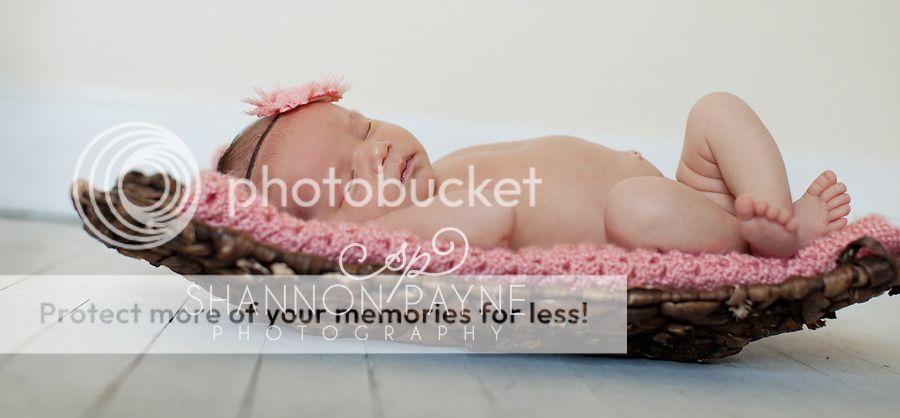  AvaClaire  |  Hendersonville Newborn Photographer