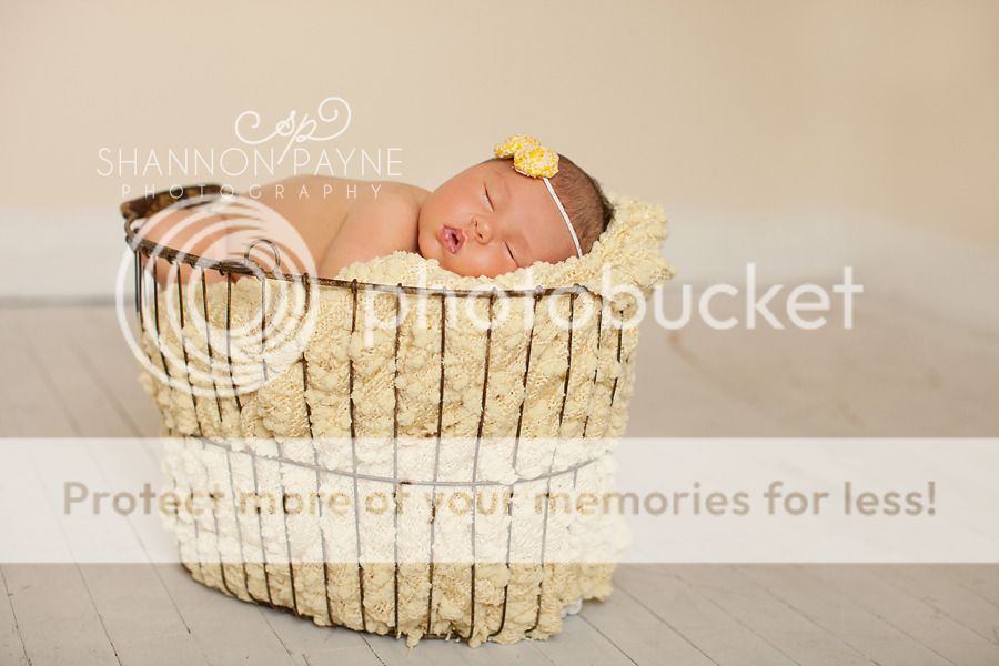 Miss A's Newborn Session | Hendersonville TN Newborn Photographer