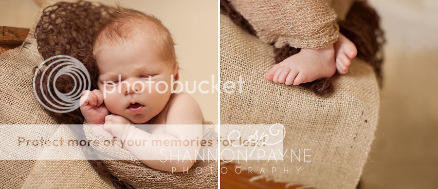  Bentley's Newborn Session  |  Hendersonville TN Newborn Photographer