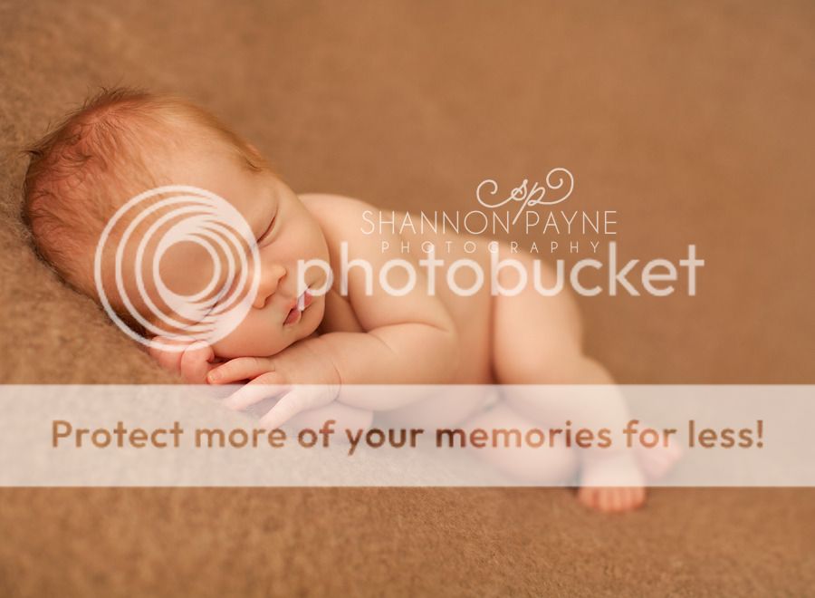  Bentley's Newborn Session  |  Hendersonville TN Newborn Photographer