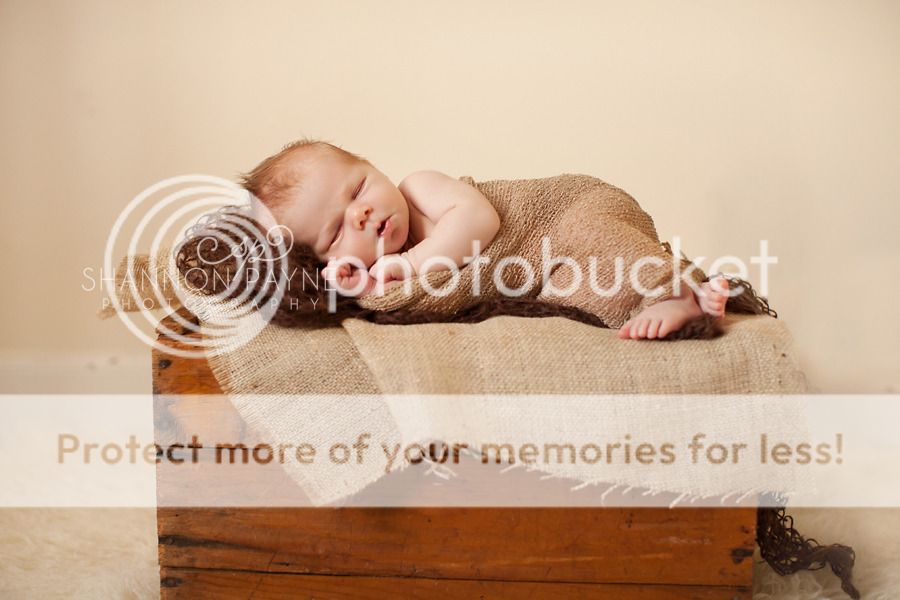  Bentley's Newborn Session  |  Hendersonville TN Newborn Photographer