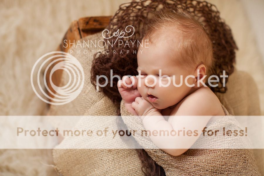  Bentley's Newborn Session  |  Hendersonville TN Newborn Photographer