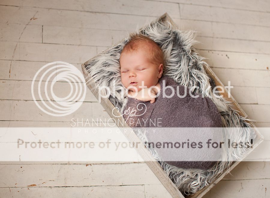  Bentley's Newborn Session  |  Hendersonville TN Newborn Photographer