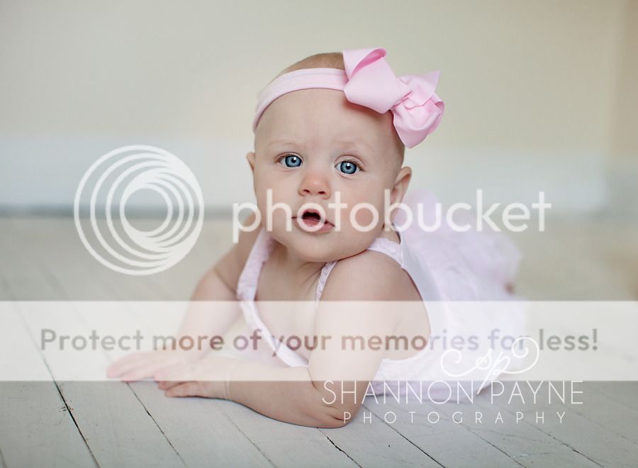  Brooke's 6 Month Session  |  Hendersonville TN Baby Photographer