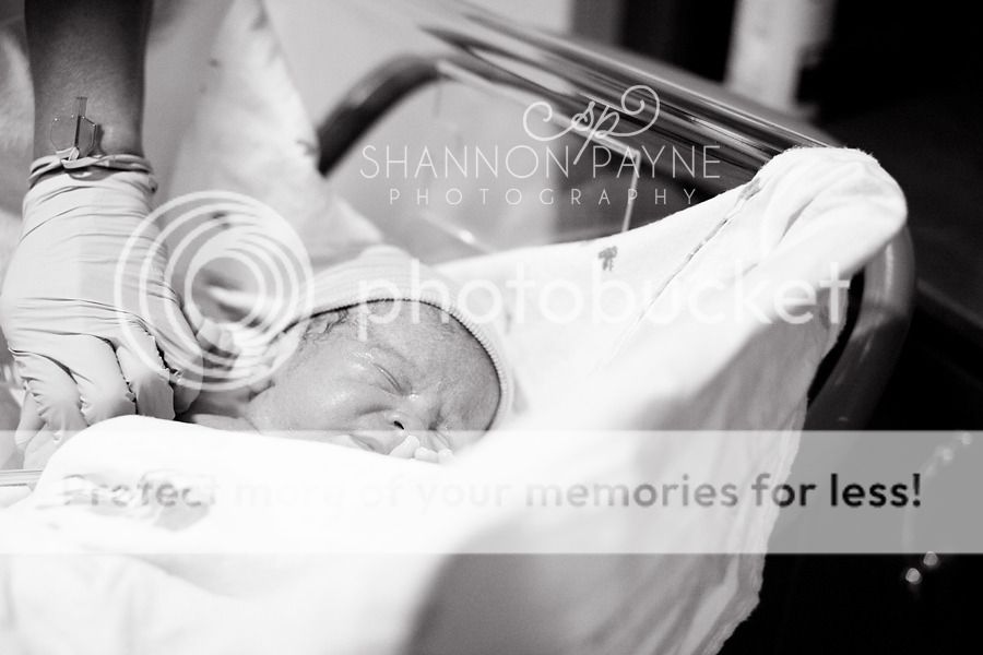  Meeting Cannon  |  Nashville TN Newborn Photographer