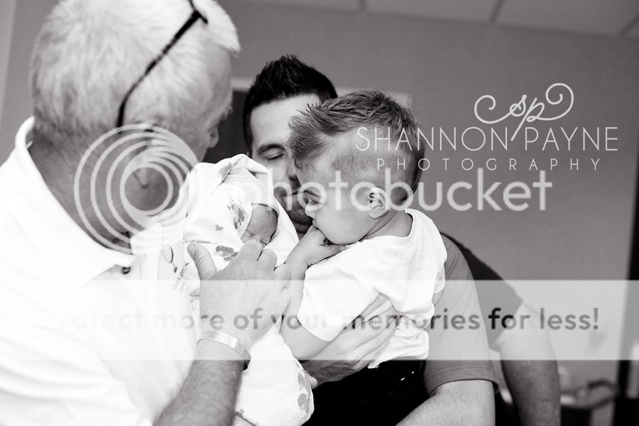  Meeting Cannon  |  Nashville TN Newborn Photographer