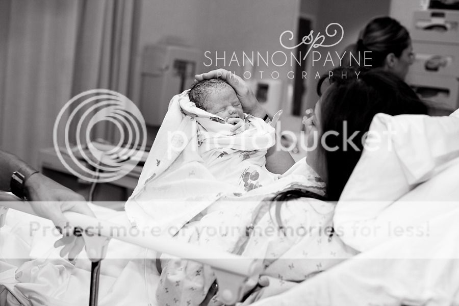  Meeting Cannon  |  Nashville TN Newborn Photographer