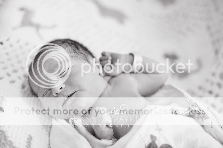  Meeting Cannon  |  Nashville TN Newborn Photographer