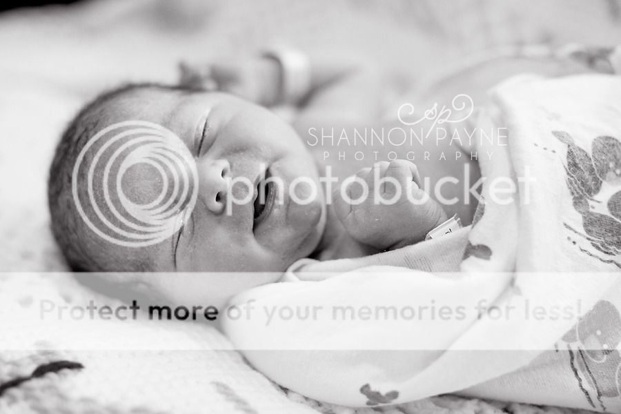  Meeting Cannon  |  Nashville TN Newborn Photographer