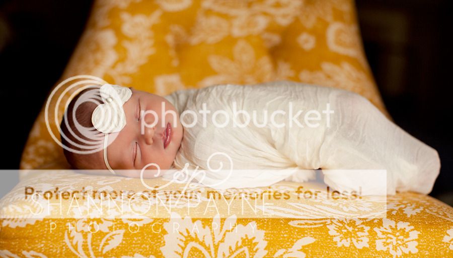Charlie's Newborn Session  |  Nashville TN Newborn Photographer