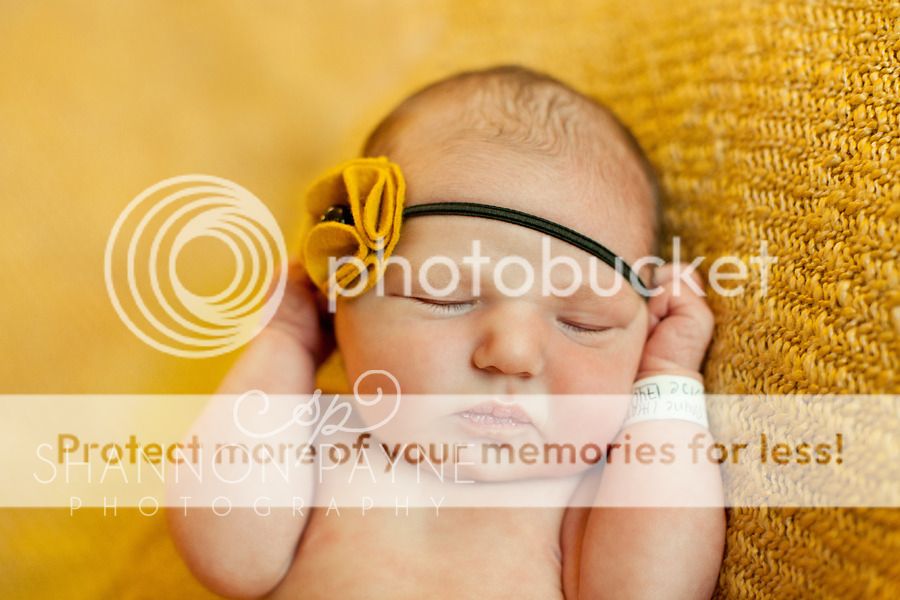 Meeting Halle  |  Hendersonville TN Newborn Photographer  |  Nashville TN Newborn Photographer