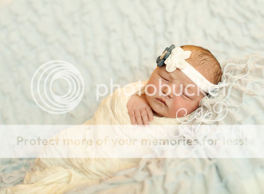Meeting Halle  |  Hendersonville TN Newborn Photographer  |  Nashville TN Newborn Photographer