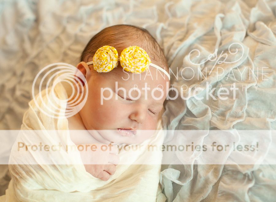 Meeting Halle  |  Hendersonville TN Newborn Photographer  |  Nashville TN Newborn Photographer