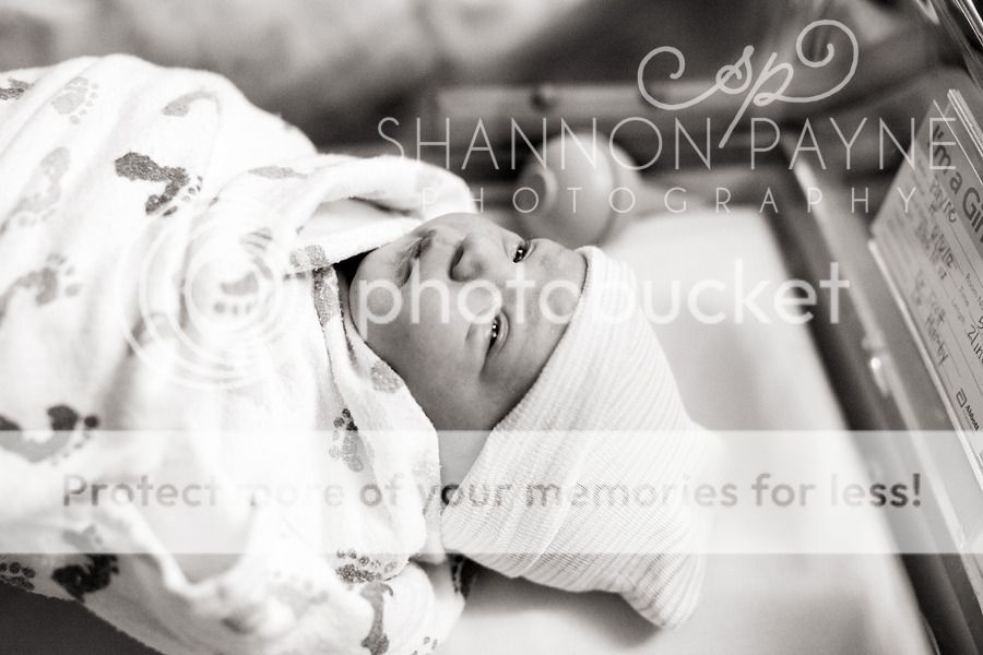 Meeting Halle  |  Hendersonville TN Newborn Photographer  |  Nashville TN Newborn Photographer
