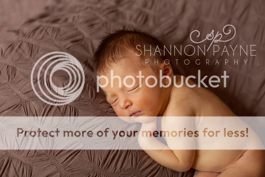  The Howell's Newborn Session  |  Hendersonville TN Newborn Photographer