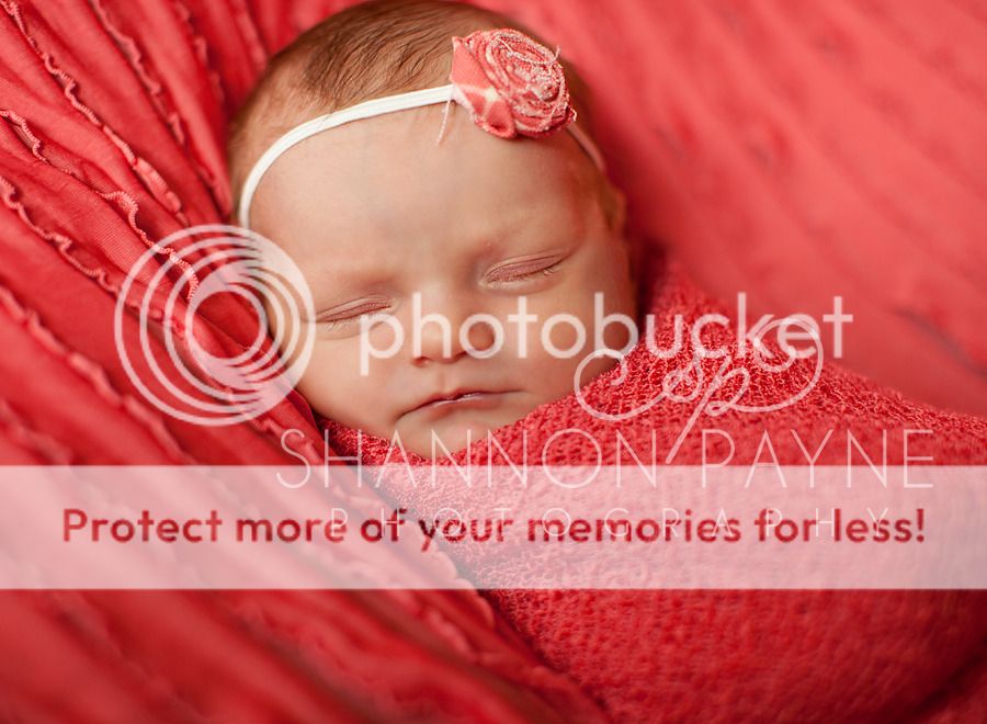  Henley's Newborn Session  |  Nashville TN Newborn Photographer