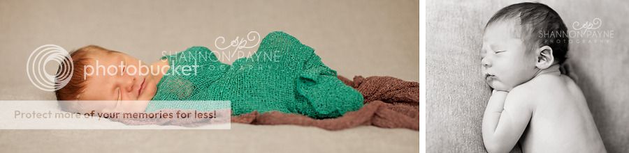 Isaiah's Newborn Session  |  Hendersonville TN Newborn Photographer