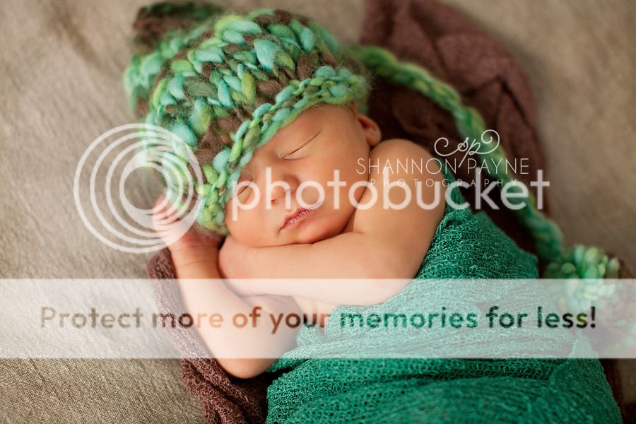 Isaiah's Newborn Session  |  Hendersonville TN Newborn Photographer