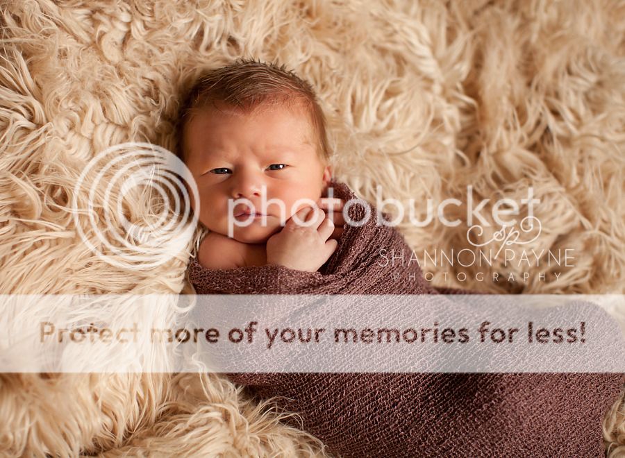 Isaiah's Newborn Session  |  Hendersonville TN Newborn Photographer