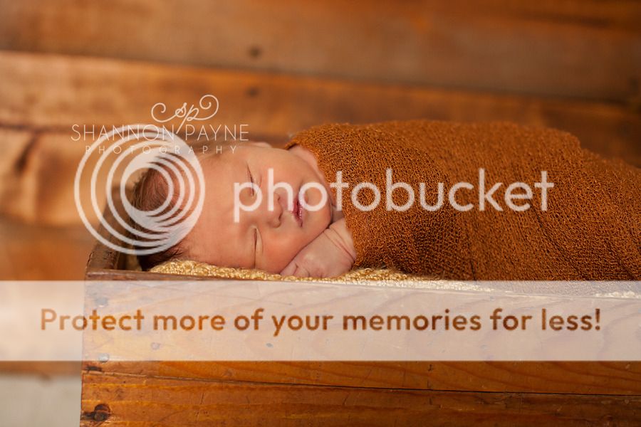 Isaiah's Newborn Session  |  Hendersonville TN Newborn Photographer