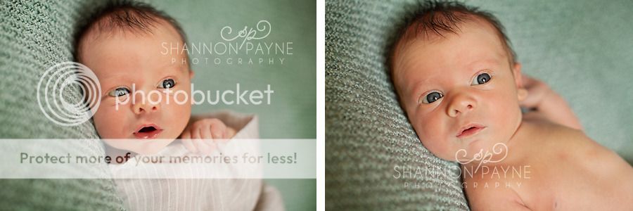 Jensen's Newborn Session | Hendersonville TN Newborn Photographer