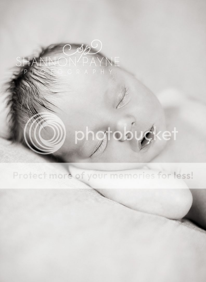 Jensen's Newborn Session | Hendersonville TN Newborn Photographer