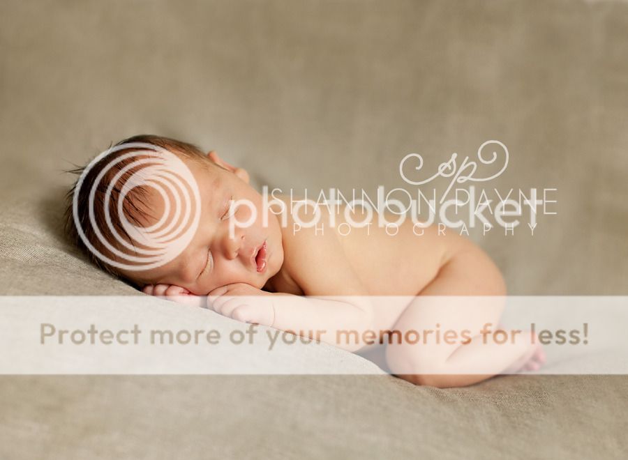 Jensen's Newborn Session | Hendersonville TN Newborn Photographer