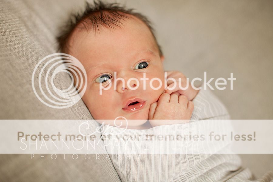Jensen's Newborn Session | Hendersonville TN Newborn Photographer