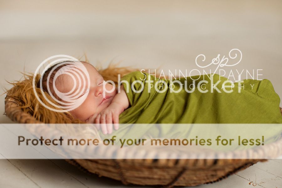 Jordan's Newborn Session  |  Hendersonville TN Newborn Photographer  |  Hendersonville TN Photography Studio